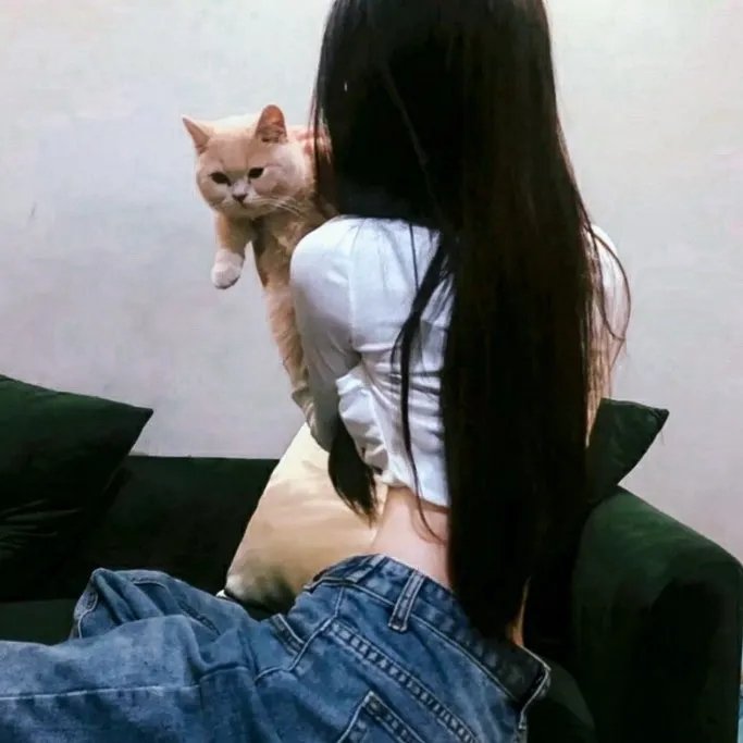 黑色孤儿：回响